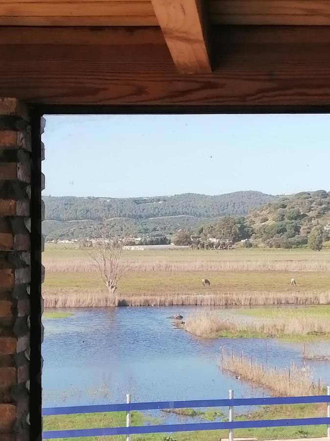 Casa Los Ibis Villa Vejer de la Frontera Kültér fotó